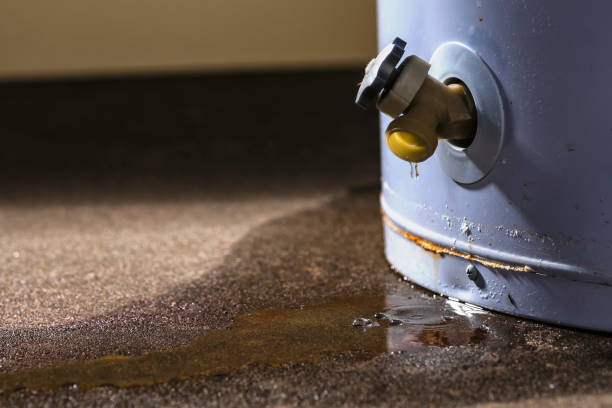 Best Water damage restoration near me  in Penn State Erie, PA