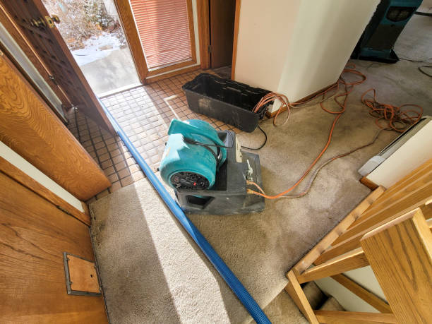 Best Flood damage cleanup  in Penn State Erie, PA