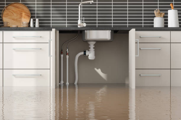 Best Local water damage restoration  in Penn State Erie, PA