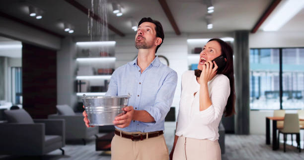 Best Professional water damage repair  in Penn State Erie, PA