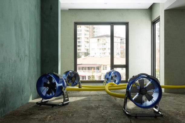 Best Fire Damage Restoration  in Penn State Erie, PA
