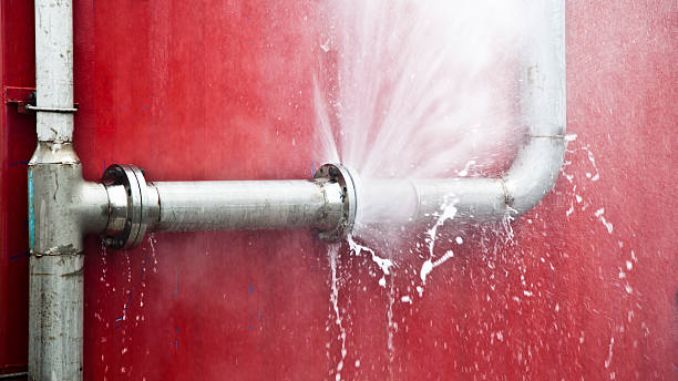 Best Flooded house restoration  in Penn State Erie, PA