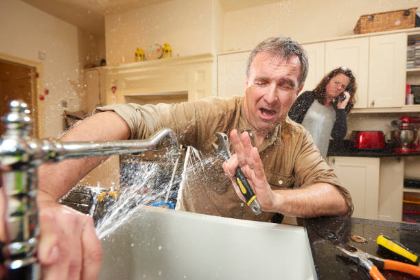 Best Mold removal after water damage  in Penn State Erie, PA
